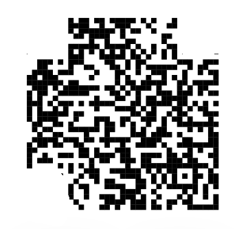 scan6