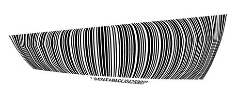 code39-fisheye.webp